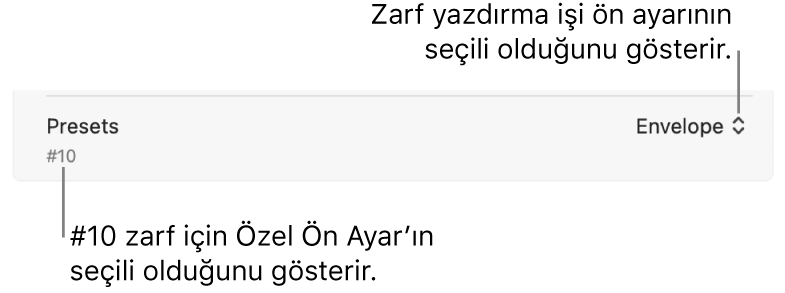 Seçilen bir zarf için yazdırma işi ön ayarını ve seçilen #10 zarfı için özel bir ön ayarı gösteren Yazdır sorgu kutusunun Ön Ayarlar bölümü.