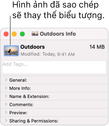 Cửa sổ Thông tin cho thư mục, đang hiển thị biểu tượng chung được thay thế bằng hình ảnh.