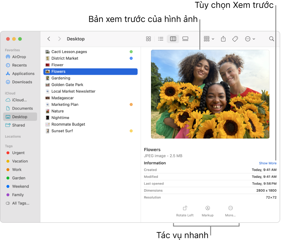 Cửa sổ Finder đang hiển thị thanh bên Finder ở bên trái và một tệp hình ảnh được chọn ở giữa của cửa sổ. Ở bên phải, khung Xem trước hiển thị giao diện hình ảnh, với thông tin chi tiết về hình ảnh ở bên dưới và các nút Tác vụ nhanh ở dưới cùng.