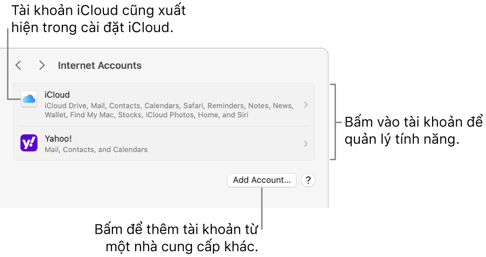 Cài đặt Tài khoản internet với các tài khoản được thiết lập trên máy Mac được liệt kê.