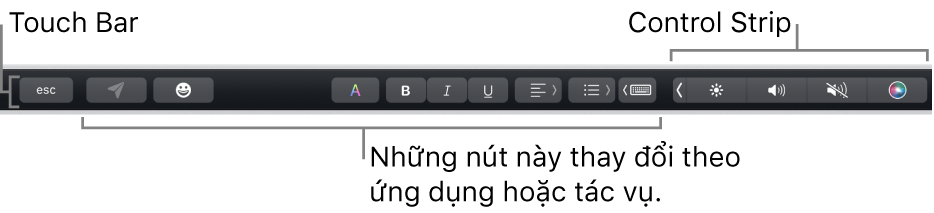 Touch Bar dọc theo cạnh trên cùng của bàn phím, đang hiển thị các nút thay đổi theo ứng dụng hoặc tác vụ ở bên trái và Control Strip được thu gọn ở bên phải.