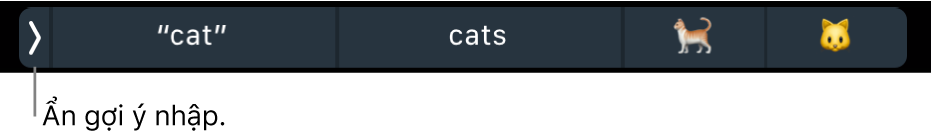 Các gợi ý nhập đang hiển thị các từ và biểu tượng cùng với nút ở bên trái để ẩn các gợi ý nhập.