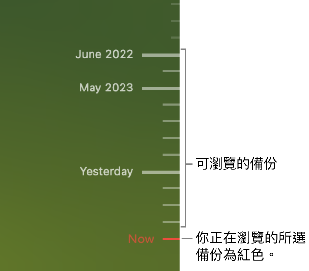 備份時間軸中的刻度。 紅色的剔選符號表示你正在瀏覽的備份。