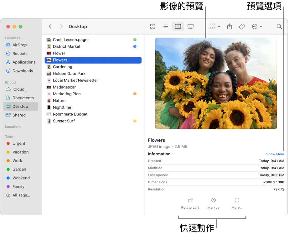 Finder 視窗，左側顯示 Finder 側邊欄，視窗的中間顯示一個已選取的影像檔案。 右側為「預覽」面板，面板顯示影像外觀，其下方顯示影像詳細資料，底部則為「快速動作」按鈕。