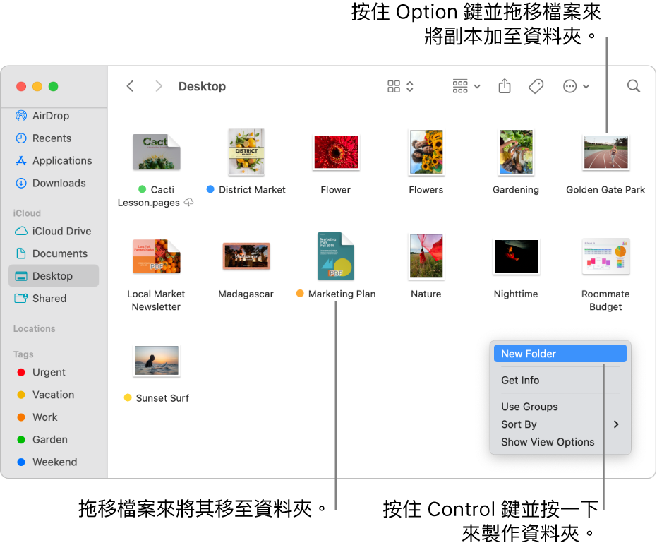 Finder 視窗中包含檔案和資料夾。 在捷徑選單中，「新增資料夾」已螢光標示。