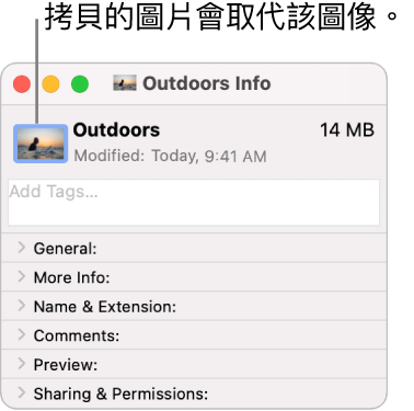 檔案夾的「資訊」視窗，顯示一般圖像被圖片取代。