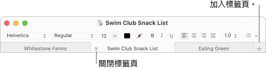 「文字編輯」視窗，標籤頁列中有三個標籤頁，位於格式列下方。一個標籤頁顯示「關閉」按鈕。「加入」按鈕位於標籤頁列的最右側。