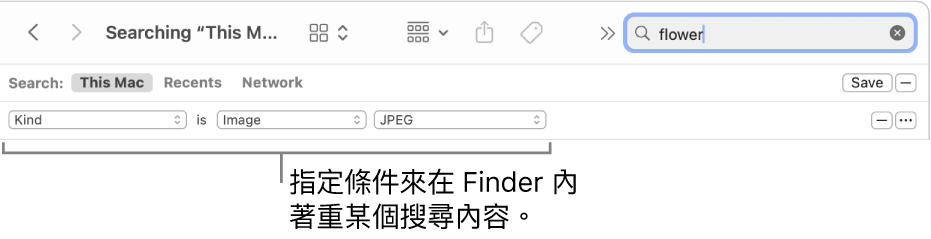 Finder 視窗，含有指定搜尋規則的欄位。