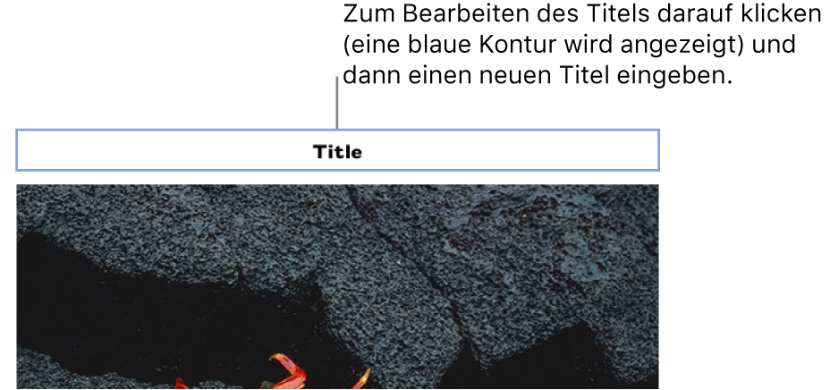 Der Platzhaltertitel „Titel“ erscheint über einem Foto. Eine blaue Kontur um das Titelfeld herum zeigt an, dass es ausgewählt wurde.