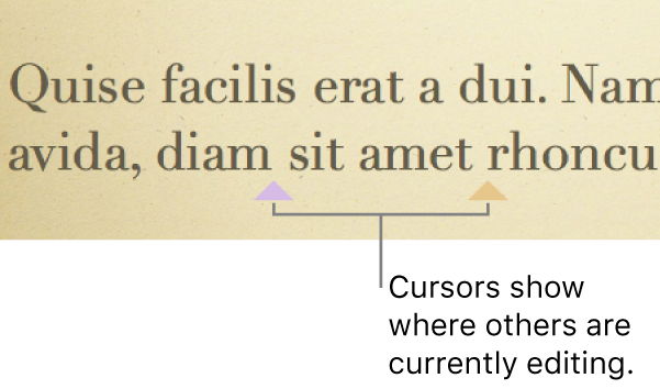 Cursors in different colors showing where other people are editing in a shared presentation.