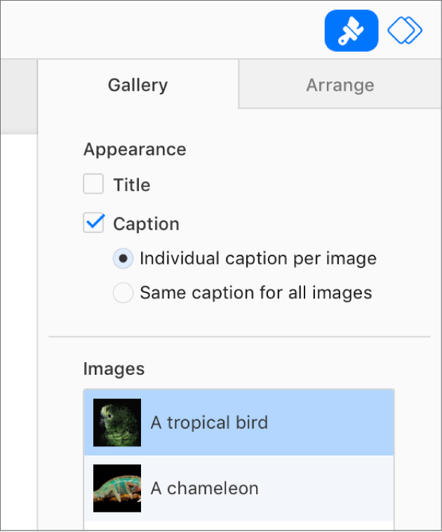 The Gallery tab in the Format sidebar. The Captions checkbox is selected, and there are options to have individual captions for each image, or the same caption for all images. Below the controls are thumbnails of each image with its caption to the right.