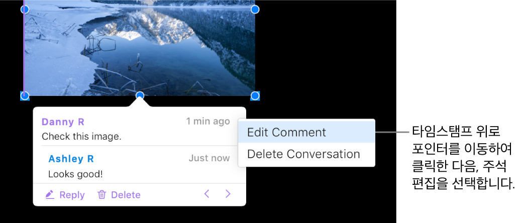주석이 열려 있고, 포인터가 상단의 타임 스탬프 위에 있는 경우, 팝업 메뉴에 다음 두 가지 옵션이 나타납니다. 대화 삭제 및 주석 편집.