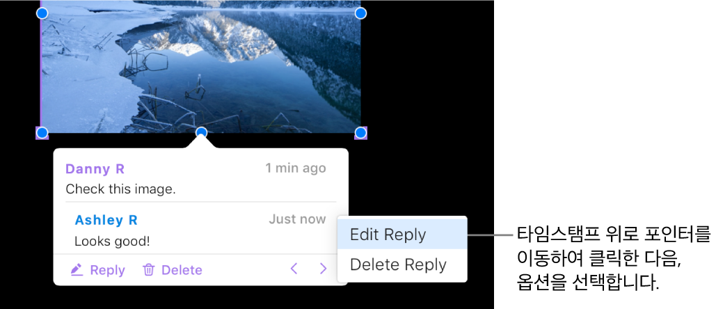 답글이 달린 주석 및 답글 편집을 위해 타임 스탬프 위에 있는 포인터: 팝업 메뉴에 두 가지 옵션이 나타납니다. 답글 편집 및 답글 삭제.