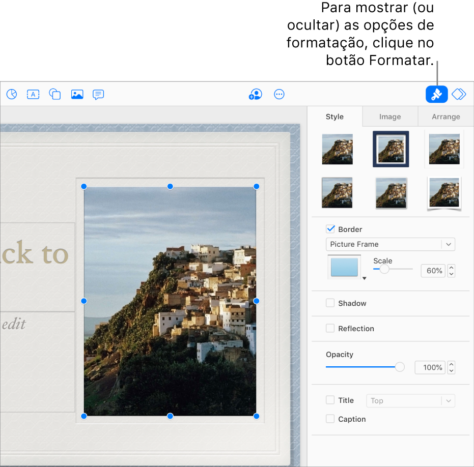 Uma imagem em uma apresentação está selecionada e os controles para alterar sua aparência (por exemplo, caixas de seleção de borda e sombra) são mostrados na barra lateral à direita.