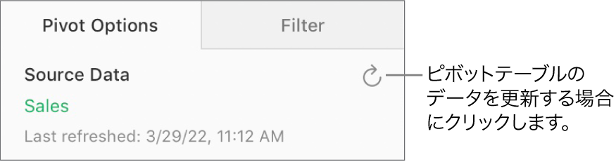右上に「更新」ボタンが表示されている「ピボットオプション」タブ。