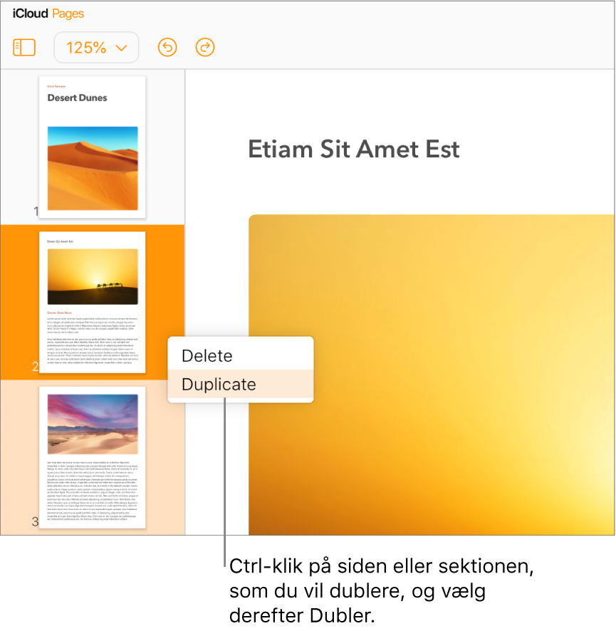 Miniaturer af sider for et tekstbehandlingsdokument på flere sider i venstre indholdsoversigt med den valgte side fremhævet i mørk orange og én anden side i samme sektion fremhævet i lys orange. En lokalmenu indeholder indstillingerne Slet eller Dubler for den valgte sektion.