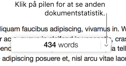 Lokalmenuen med dokumentstatistik viser antallet af ord.