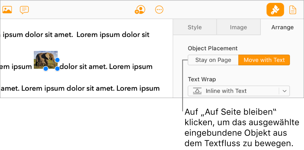 Ein eingebundenes Bild im Textkörper des Dokuments ist ausgewählt und eine Taste „Auf Seite bleiben“ wird im Tab „Anordnen“ in der Seitenleiste angezeigt.