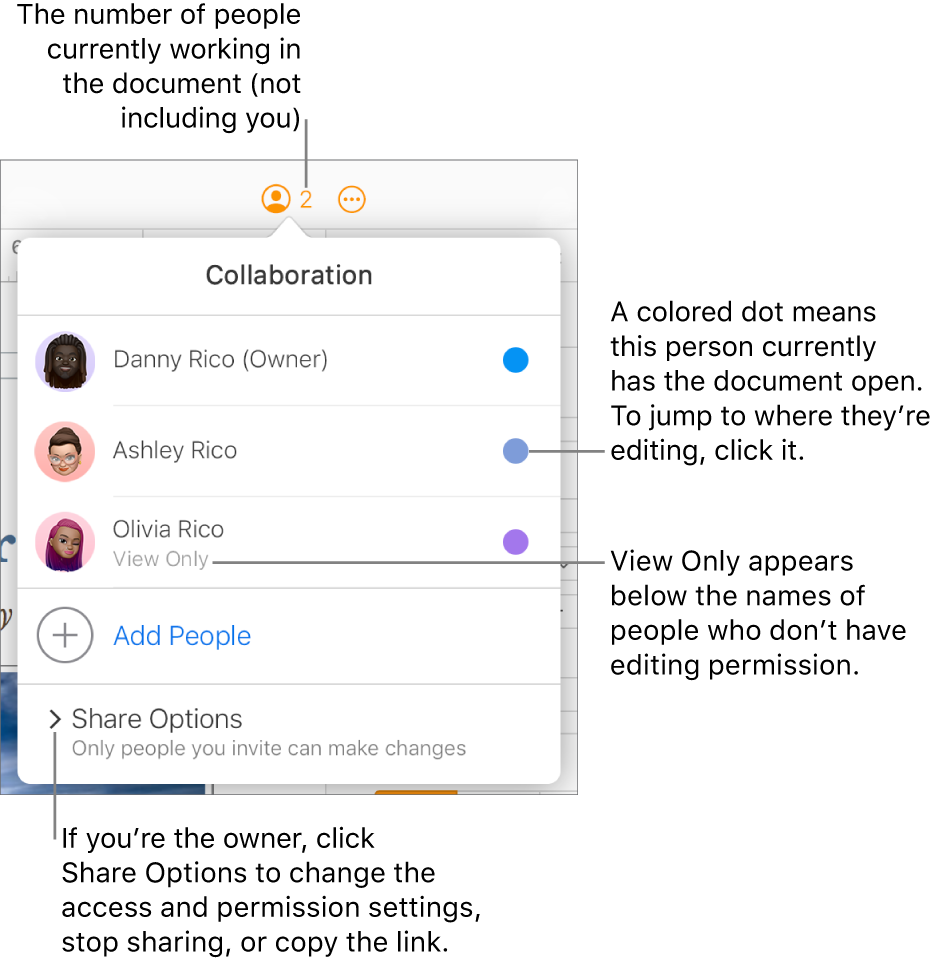 The Collaboration menu open, with a list of three participants (one with View Only access privileges), an option to Add People, and a Share Options section.