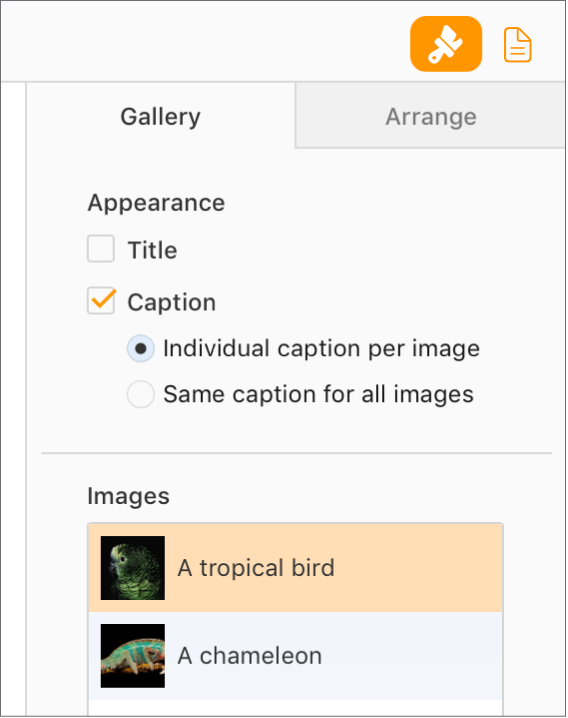 The Gallery tab in the Format sidebar. The Captions checkbox is selected, and there are options to have individual captions for each image, or the same caption for all images. Below the controls are thumbnails of each image with its caption to the right.