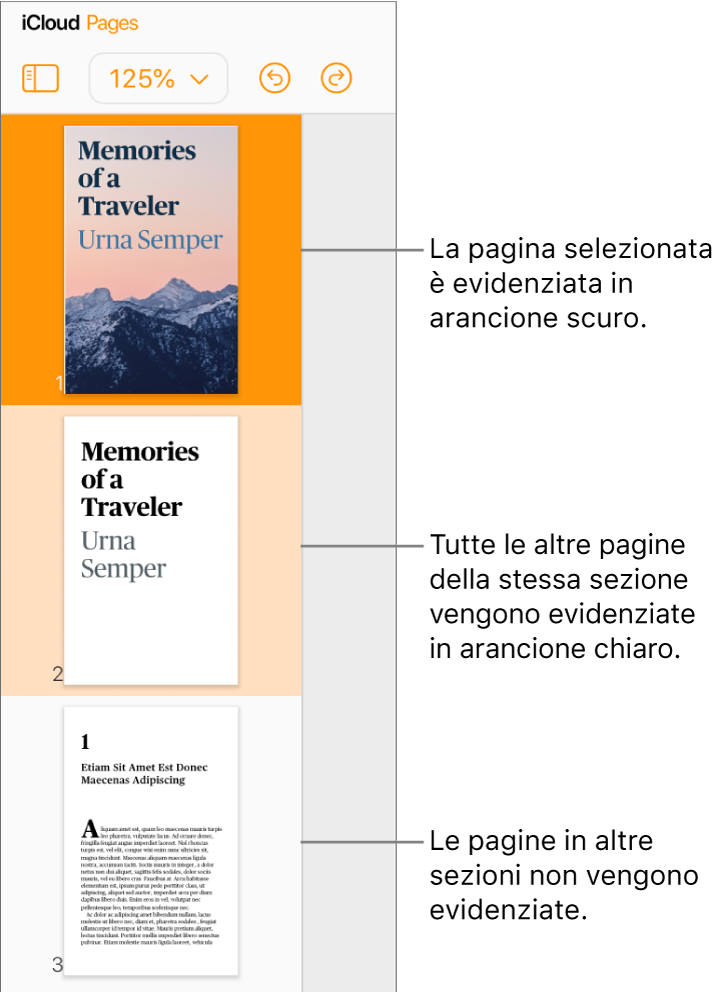 “Miniature pagina” nella barra laterale destra, con la pagina selezionata evidenziata in arancione scuro e un’altra pagina nella stessa sezione evidenziata in arancione chiaro. Una pagina in una sezione diversa non viene evidenziata.