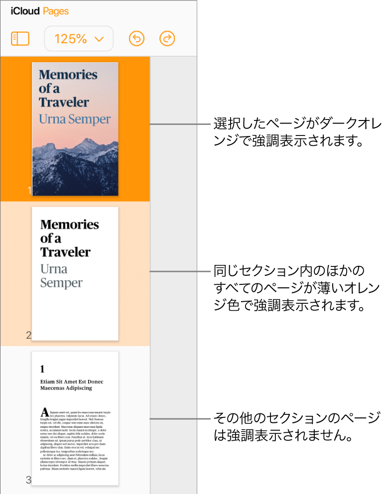 左サイドバーのページのサムネールには、選択したページが濃いオレンジ色で、同じセクションのもう一方のページが薄いオレンジ色で強調表示されています。別のセクションに属するページの背後には、ハイライトは表示されません。