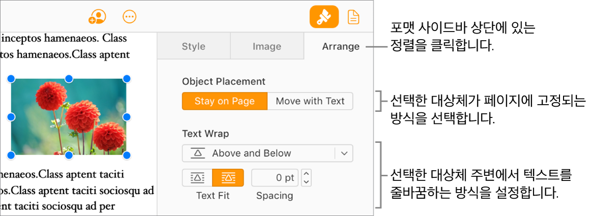 문서 본문에서 이미지가 선택되어 있으며, 포맷 사이드바의 정렬 탭은 대상체가 대상체 위 및 아래의 텍스트 둘러싸기와 함께 페이지 유지로 설정되어 있음을 보여 줍니다.