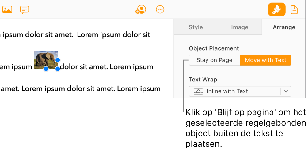 Een regelgebonden afbeelding in de hoofdtekst van een document is geselecteerd, en de knop 'Blijf op pagina' is zichtbaar in het tabblad 'Orden' in de navigatiekolom.
