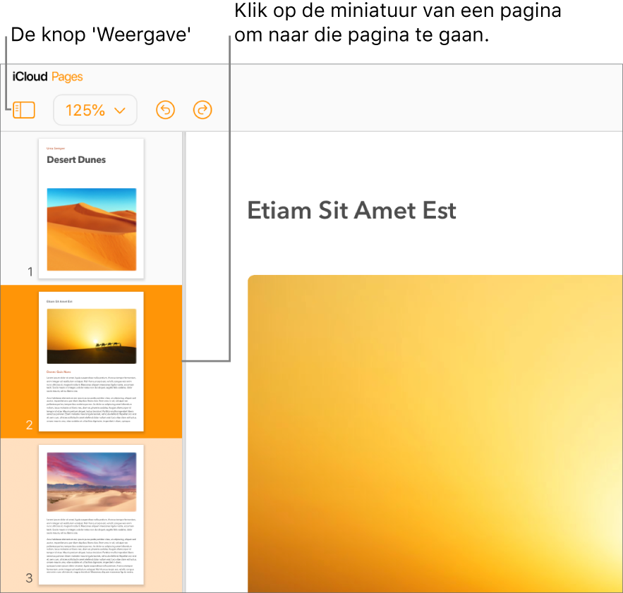 Paginaminiaturen in de navigatiekolom aan de linkerkant; de geselecteerde pagina is donkeroranje gemarkeerd, terwijl één andere pagina binnen dezelfde sectie lichtoranje is gemarkeerd.