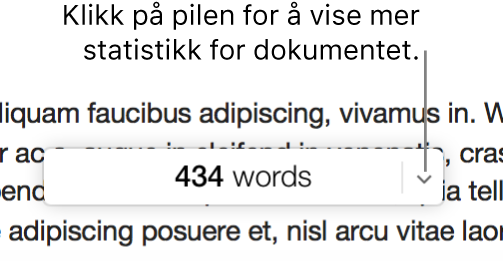 Menyen for dokumentstatistikk viser ordtelling.