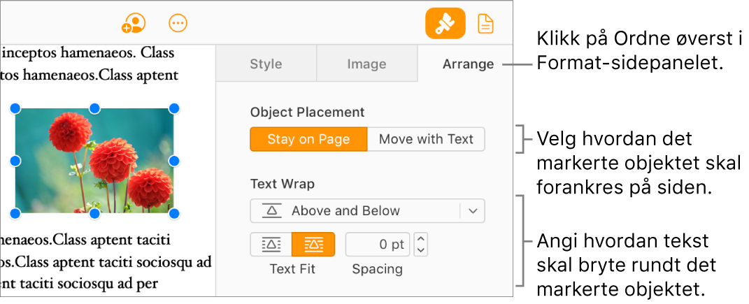 Et bilde er markert i brødteksten. Ordne-fanen i Format-sidepanelet viser at objektet er angitt som Bli på siden, og teksten brytes over og under objektet.