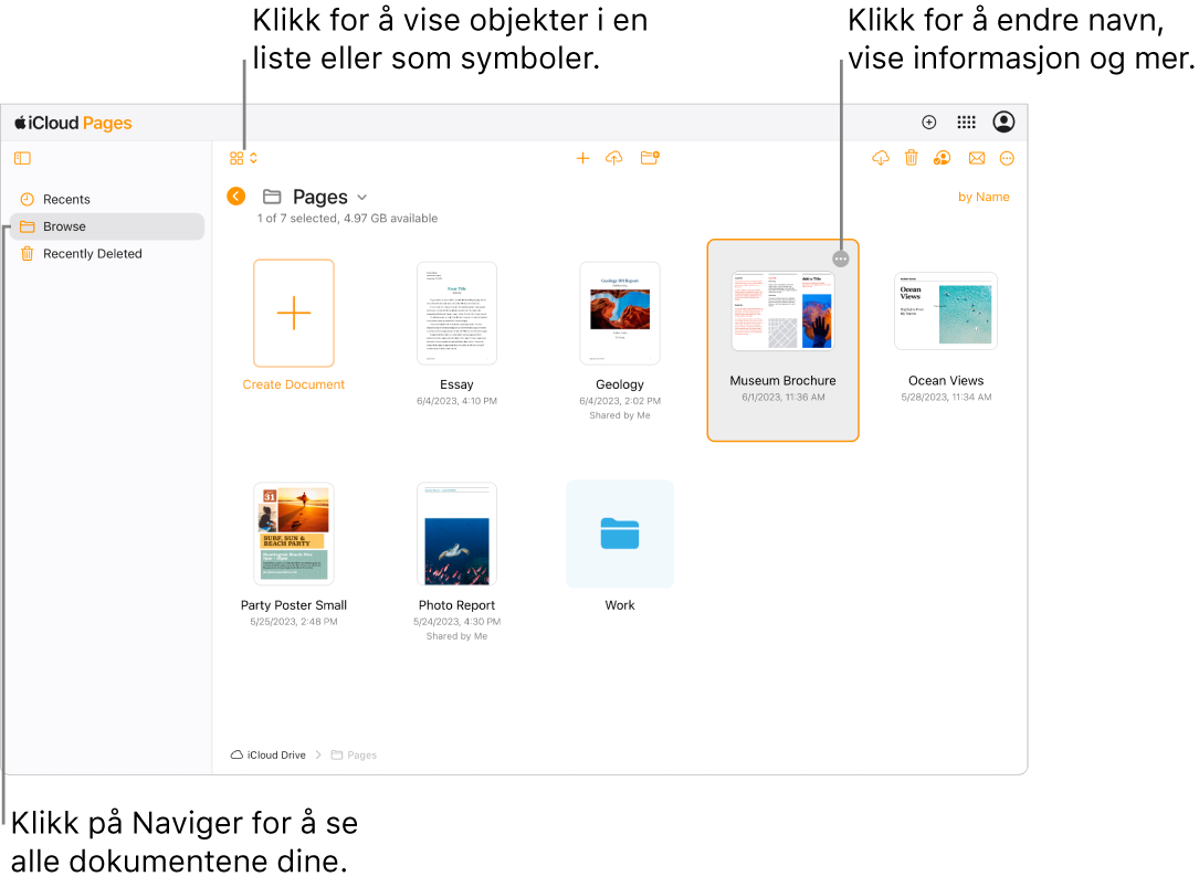 Dokumentorganisereren i navigeringsvisning viser Pages-dokumenter som symboler i et rutenett. Mer-knappen (tre prikker) vises i oppe i høyre hjørne av det valgte dokumentet. Over dokumentene er det en lokalmeny på venstre side i verktøylinjen der du kan velge om du vil vise objekter som symboler eller i en liste. Til høyre i verktøylinjen er det knapper for å laste ned, samarbeide, sende e-post og slette.