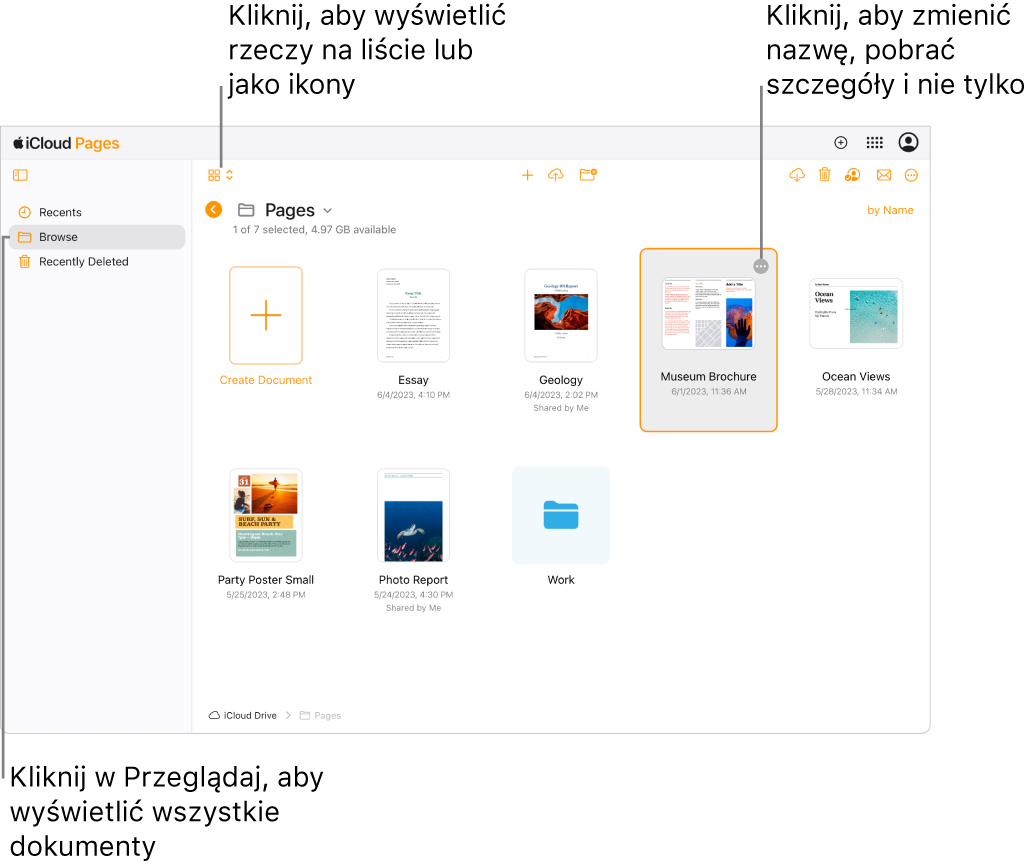 Menedżer dokumentów w widoku przeglądania, pokazujący dokumenty Pages jako ikony w siatce. W prawym górnym rogu wybranego dokumentu widoczny jest przycisk Więcej (trzy kropki). Nad dokumentami, z lewej strony paska narzędzi, jest menu podręczne, z którego można wybrać wyświetlanie rzeczy jako ikony lub listę. Z prawej strony paska narzędzi są przyciski umożliwiające pobieranie, współpracę, wysyłanie wiadomości e-mail lub usuwanie pozycji.