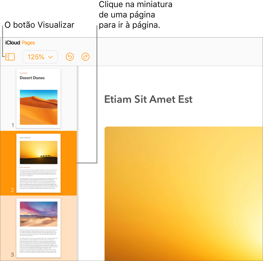 Miniaturas de página na barra lateral esquerda, com a página selecionada destacada em laranja escuro e uma outra página na mesma seção destacada em laranja claro.