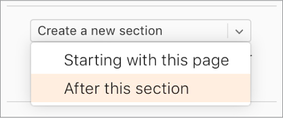 O menu pop-up "Criar uma nova seção" é aberto e "Após esta seção" é selecionado.