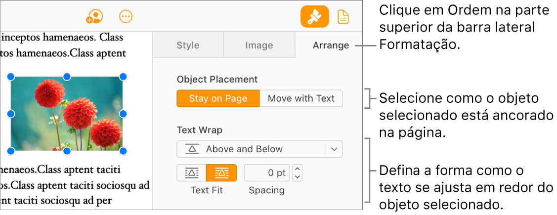 Uma imagem está selecionada no corpo do documento; o separador "Ordem” da barra lateral “Formatação” apresenta o objeto definido como “Ficar na página” com o texto moldado por cima e por baixo do objeto.