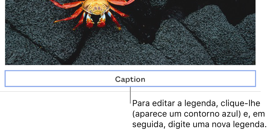 O marcador de posição de legenda, “Legenda”, é apresentado por baixo da fotografia; um contorno azul em redor do campo de legenda mostra que está selecionado.