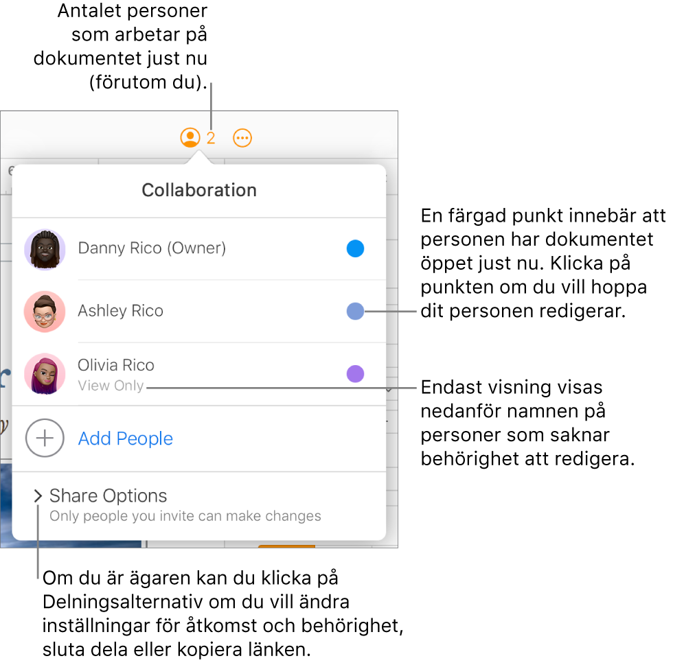 Menyn Samarbete är öppen med en lista med tre deltagare (en med åtkomstbehörigheten Endast visning), alternativet Lägg till personer och avsnittet Delningsalternativ.