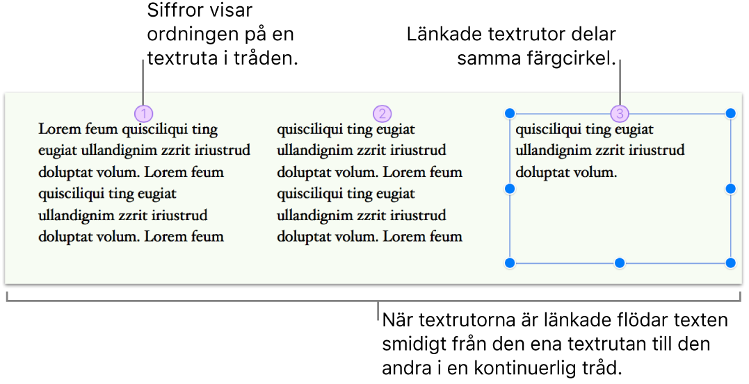 Tre länkade textrutor med text ordnade sida vid sida på samma sida. Varje textruta har en lila cirkel längst upp med en siffra som indikerar ordningen i tråden.