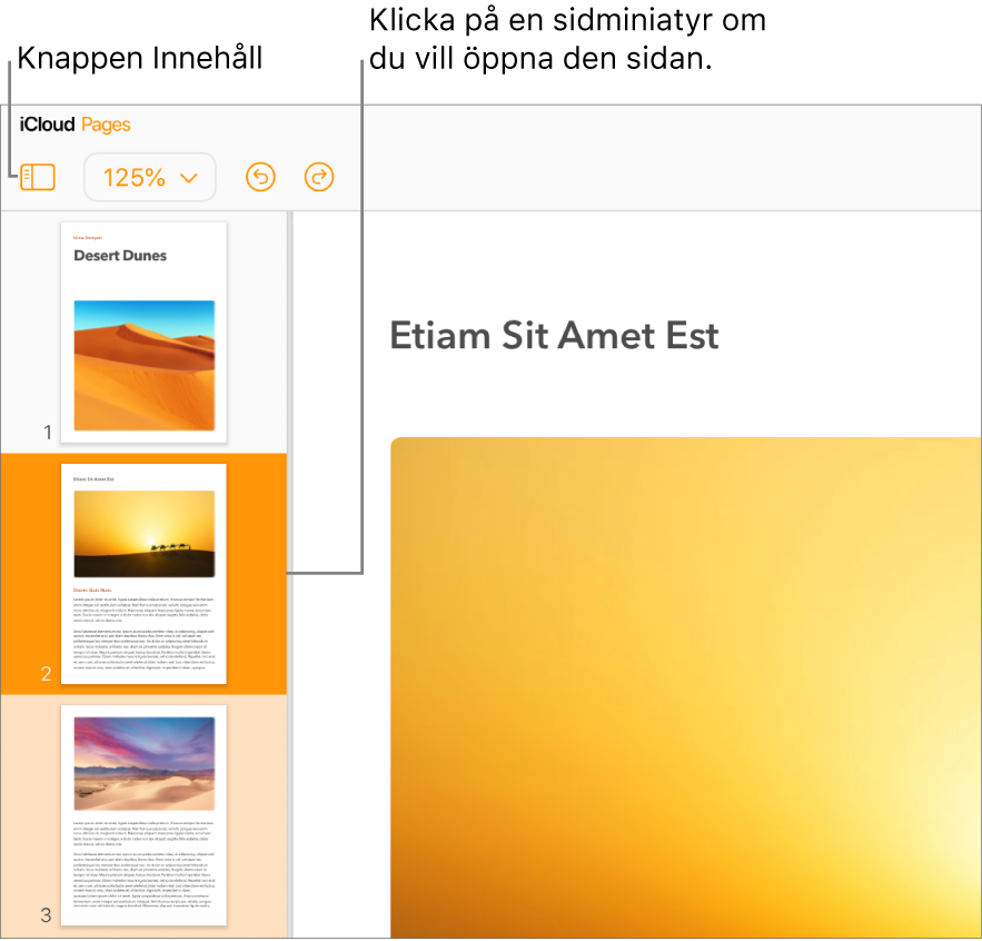 Sidminiatyrer i det vänstra sidofältet, med den valda sidan markerad i mörkorange och en annan sida i samma avsnitt markerad i ljusorange.