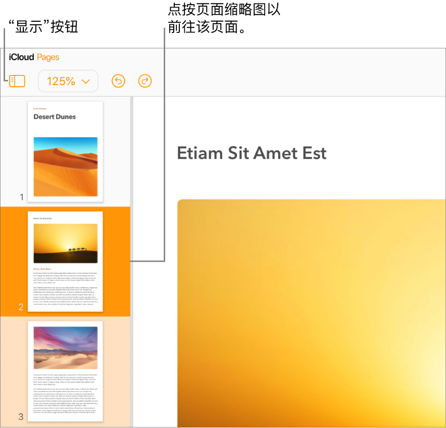 左侧边栏中的页面缩略图，使用暗橘色着重显示的选中页面和同一部分中使用亮橘色着重显示的另一个页面。