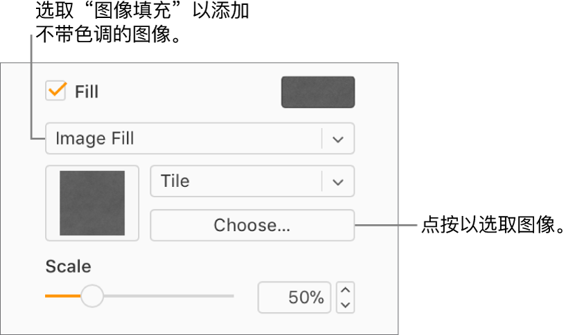 已选中边栏中的“填充”复选框，且在复选框下方的弹出式菜单中选取了“图像填充”。用于选取图像、对象填充方式以及图像比例的控制显示在该弹出式菜单的下方。图像填充的预览出现在方框中（当图像被选中后）。