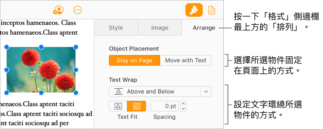 已於文件內文中選取一張影像；「格式」側邊欄的「排列」標籤頁顯示物件設定為「停留在頁面上」，文字則於物件的上方和下方圍繞。