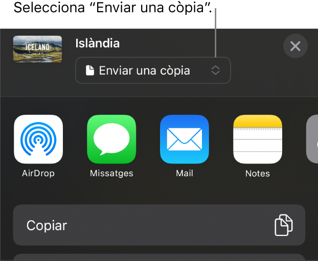 Menú “Compartir” amb l’opció “Enviar una còpia” seleccionada a la part superior.