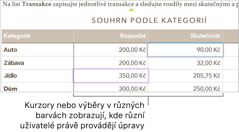 Kurzory nebo výběry v odlišných barvách ukazují, kde jiné osoby provádějí úpravy