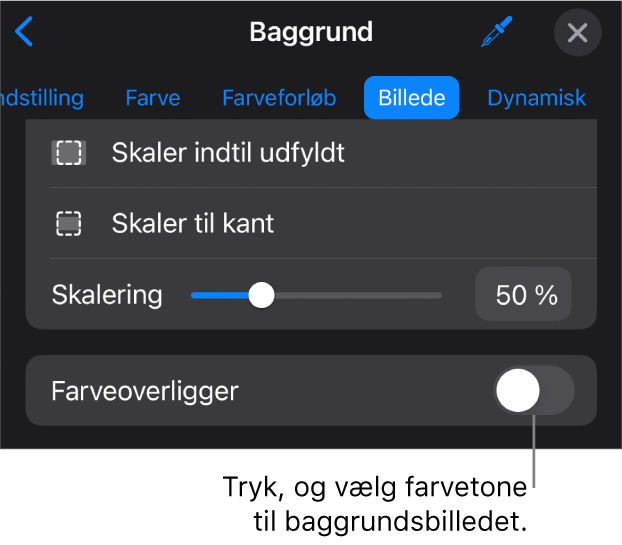 Betjeningsmulighederne til baggrund med et billede indstillet som lysbilledbaggrund og betjeningsmulighederne til Farveoverligger nederst.