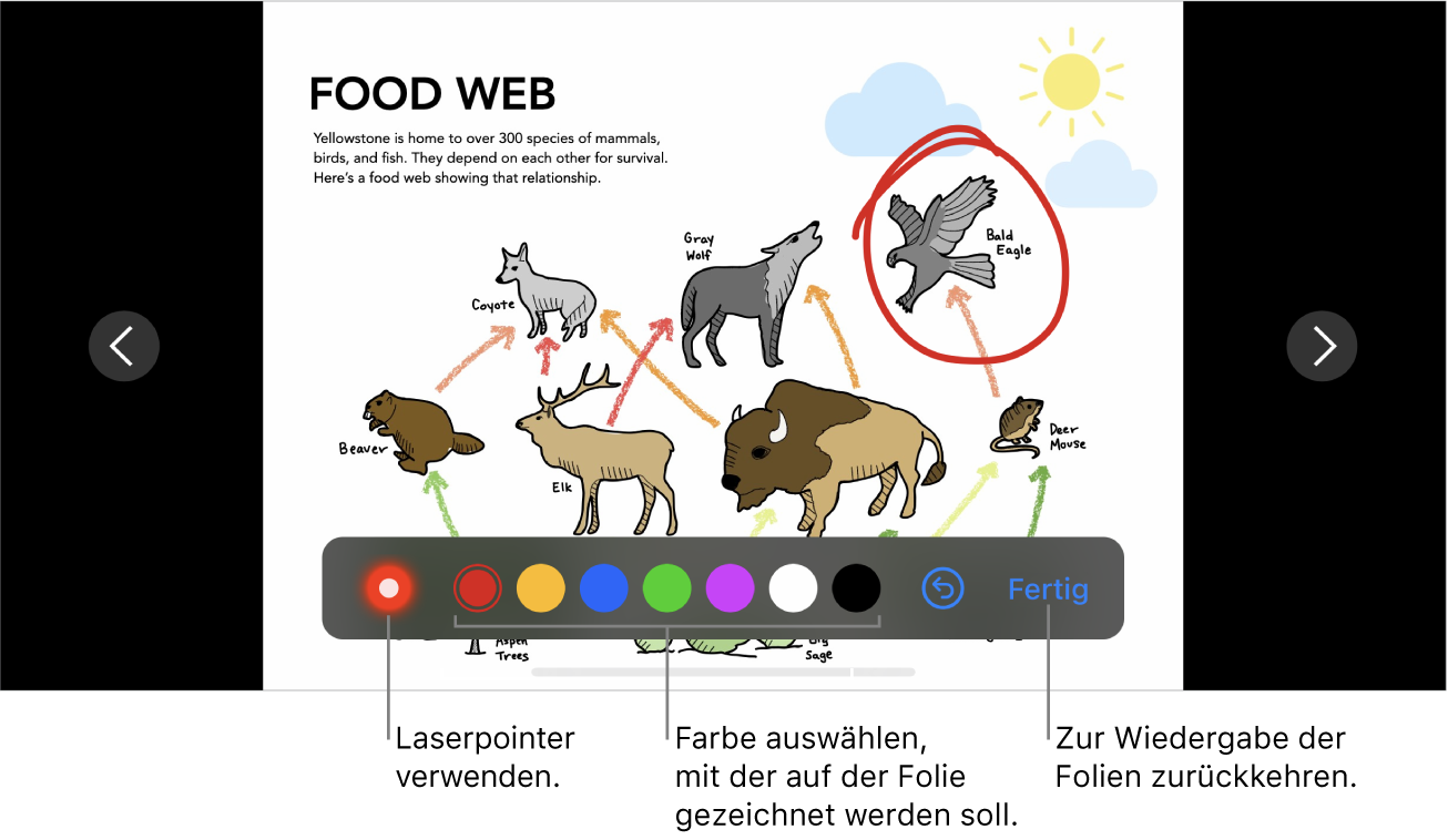 Eine Folie im Illustrationsmodus mit dem Laserpointer und Steuerelementen zur Auswahl der Farbe