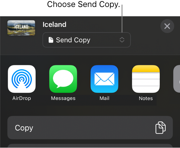 The Share menu with Send Copy selected at the top.