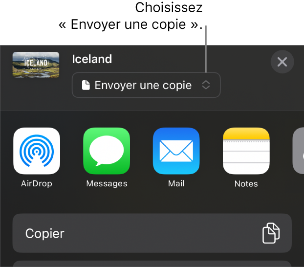 Le menu Partager avec l’option Envoyer une copie sélectionnée en haut.