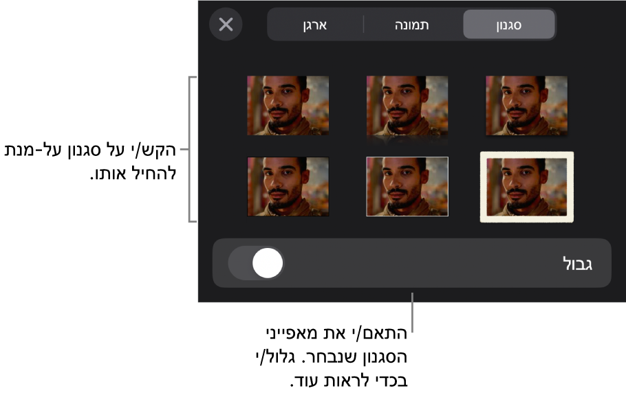 הכרטיסייה ״סגנון״ בתפריט ״עיצוב״ עם סגנונות אובייקטים בחלק העליון ומתחת להם כלי בקרה לשינוי הגבול.